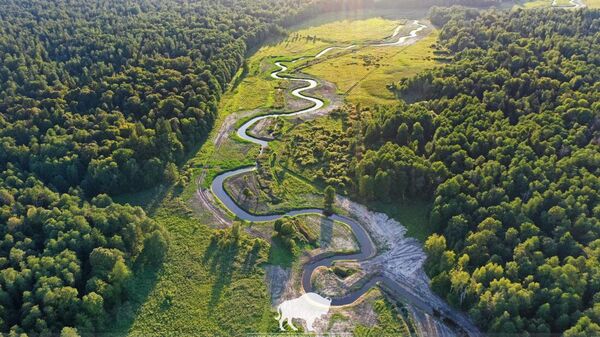 Река Наревка в Беловежской пуще - Sputnik Беларусь