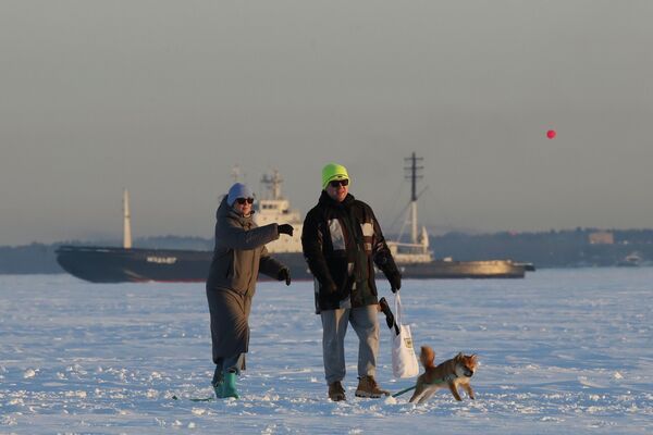 Горожане гуляют с собакой на замерзшем Финском заливе в Санкт-Петербурге.  - Sputnik Беларусь