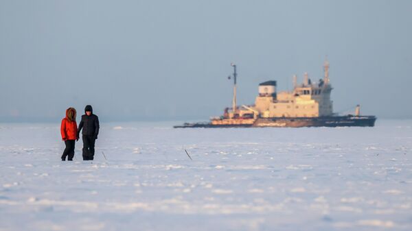 Горожане на замерзшем Финском заливе в Санкт-Петербурге - Sputnik Беларусь