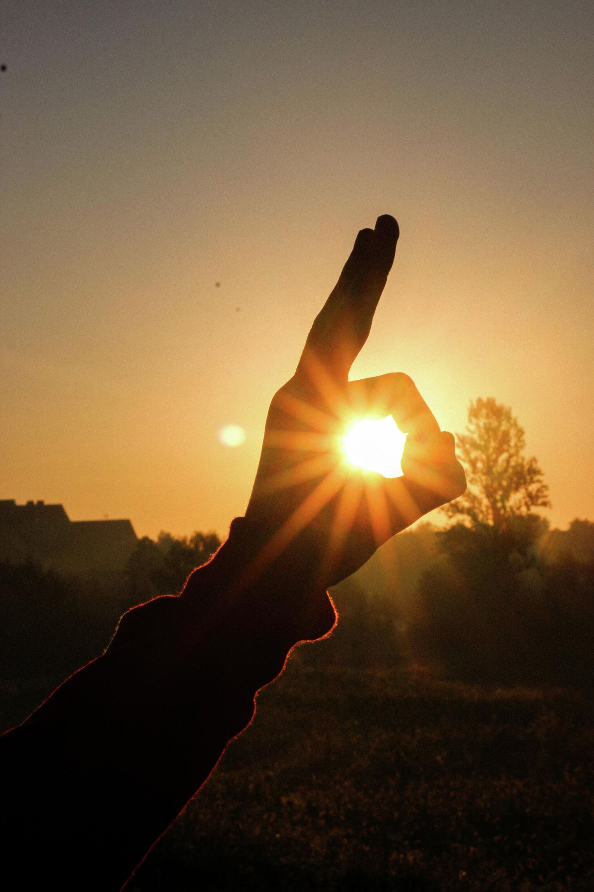 Солнце - Sputnik Беларусь, 1920, 24.02.2026