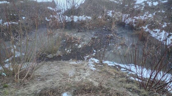 Мелиоративный канал - Sputnik Беларусь