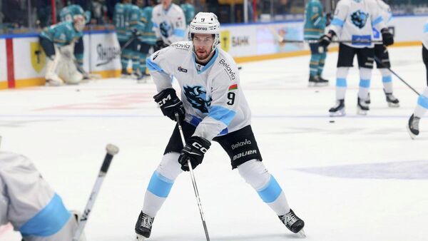 Матч между ХК Динамо-Минск и ХК Сочи - Sputnik Беларусь