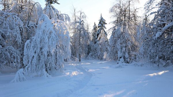 Пермский край - Sputnik Беларусь