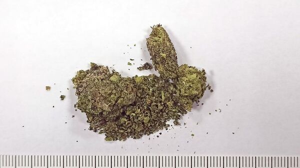 Изъятая у мужчины марихуана - Sputnik Беларусь