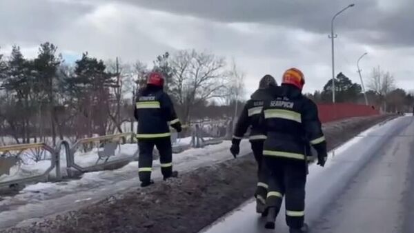 Подразделения МЧС на путепроводе в Бобруйске - Sputnik Беларусь