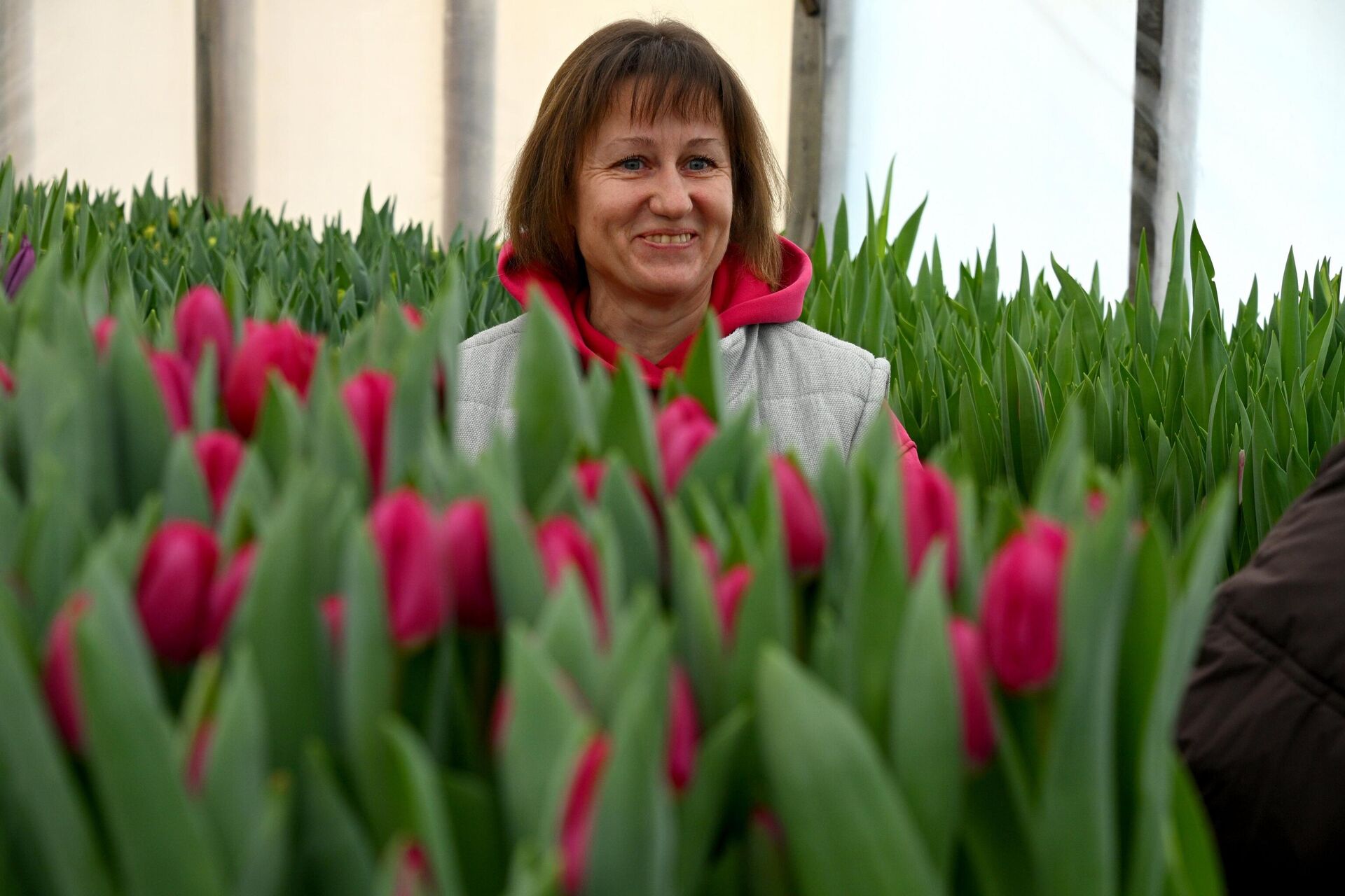 Тюльпаны - Sputnik Беларусь, 1920, 03.03.2026