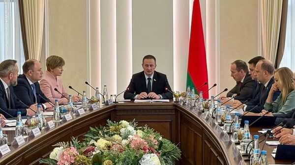 Заседание Совета по развитию предпринимательства - Sputnik Беларусь