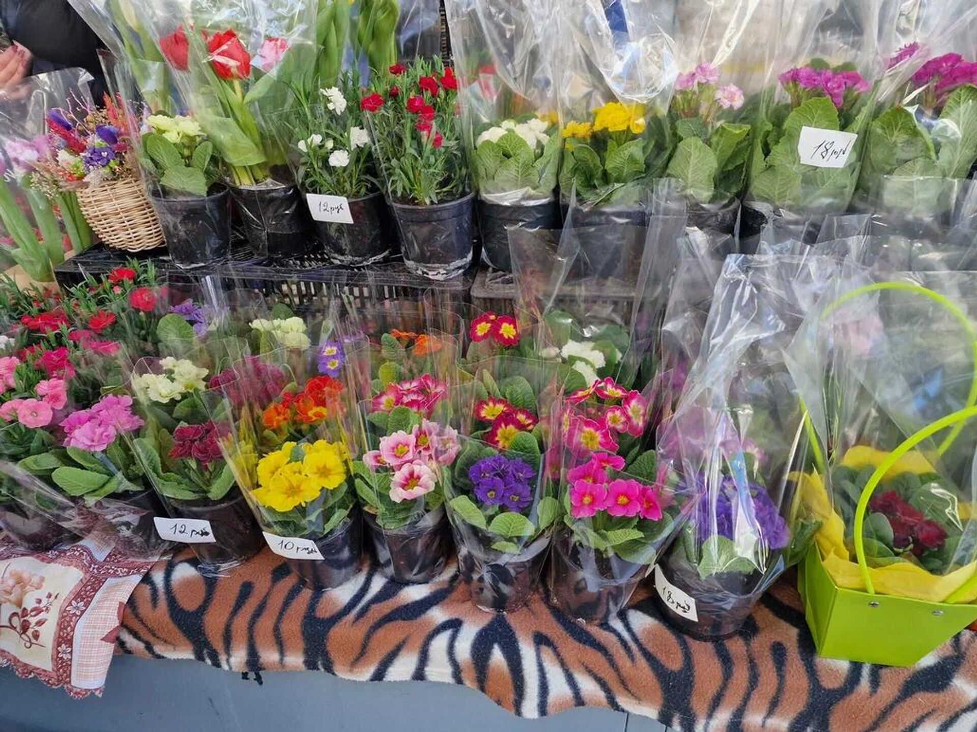 Комаровка, март 2026 - Sputnik Беларусь, 1920, 05.03.2026