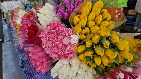 Тюльпаны - Sputnik Беларусь