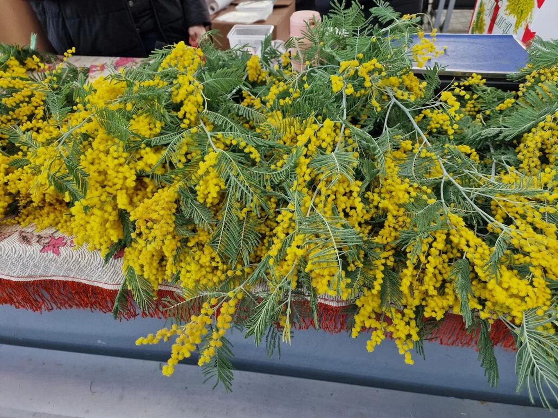 Комаровка, март 2026 - Sputnik Беларусь, 1920, 05.03.2026