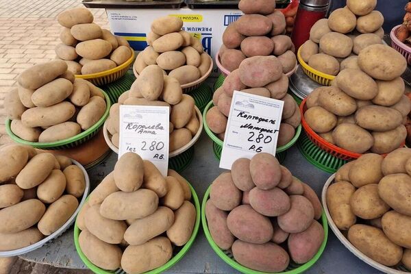 Комаровка, март 2026 - Sputnik Беларусь