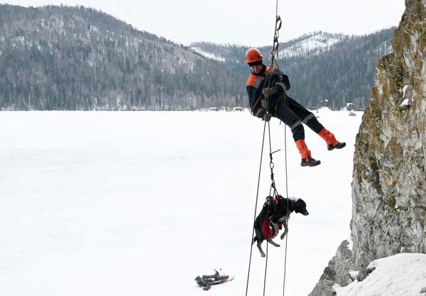 Сотрудница красноярского поисково-спасательного отряда &amp;quot;Спасатель&amp;quot; Юлия Борисова и служебная собака во время учебно-тренировочного занятия на скале Царские ворота в Бирюсинском карстовом створе в Красноярском крае. Вместе с мужчинами в красноярском поисково-спасательном отряде работают три женщины-спасателя.