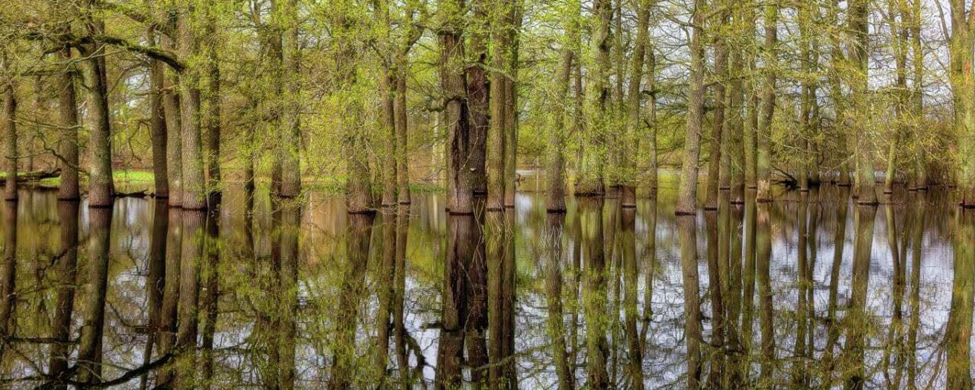 Разлив Припяти - Sputnik Беларусь, 1920, 06.03.2026