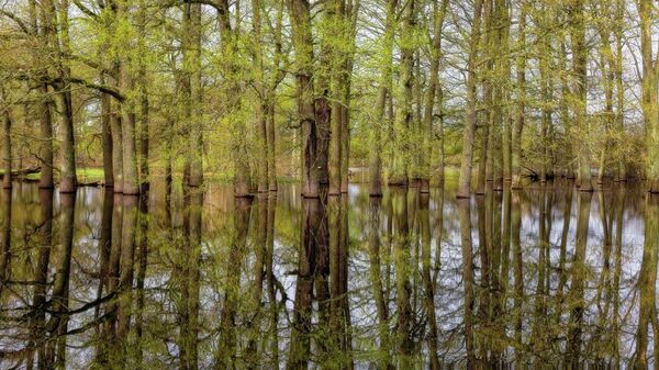 Разлив Припяти - Sputnik Беларусь