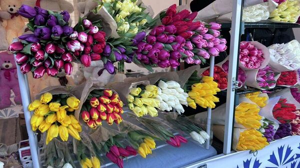 Продажа тюльпанов в Витебске - Sputnik Беларусь