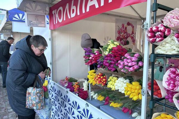 Продажа тюльпанов в Витебске Продажа тюльпанов в Витебске - Sputnik Беларусь