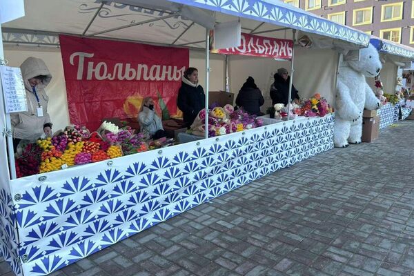 Продажа тюльпанов в Витебске Продажа тюльпанов в Витебске - Sputnik Беларусь