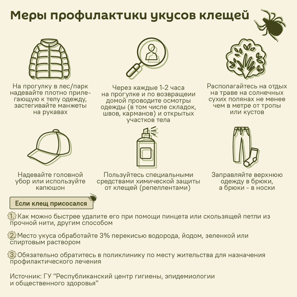 Как уберечься от укусов клещей – инфографика - Sputnik Беларусь