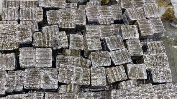 Обнаруженные на границе наркотики - Sputnik Беларусь