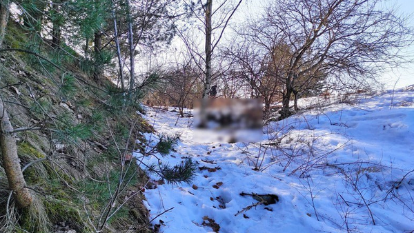 В Столбцовском районе в овраге обнаружено тело мужчины со следами насильственной смерти - Sputnik Беларусь