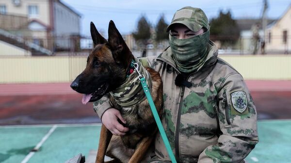 Боевые товарищи: кинолог из ДНР с овчаркой Скуби стали лучшими в России (видео) - Sputnik Беларусь