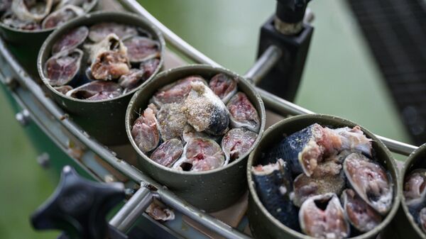 Производство рыбных консервов - Sputnik Беларусь