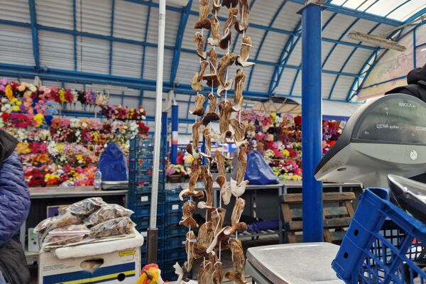 Грибы на Комаровском рынке - Sputnik Беларусь