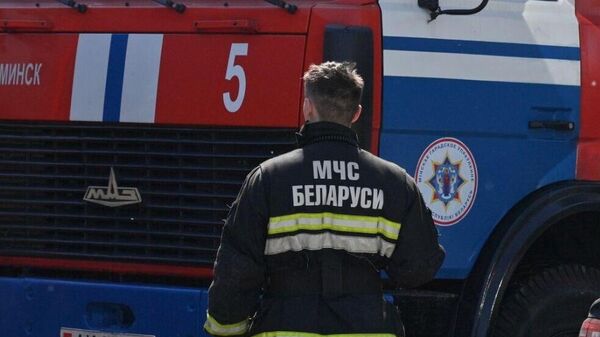 МЧС Беларуси - Sputnik Беларусь