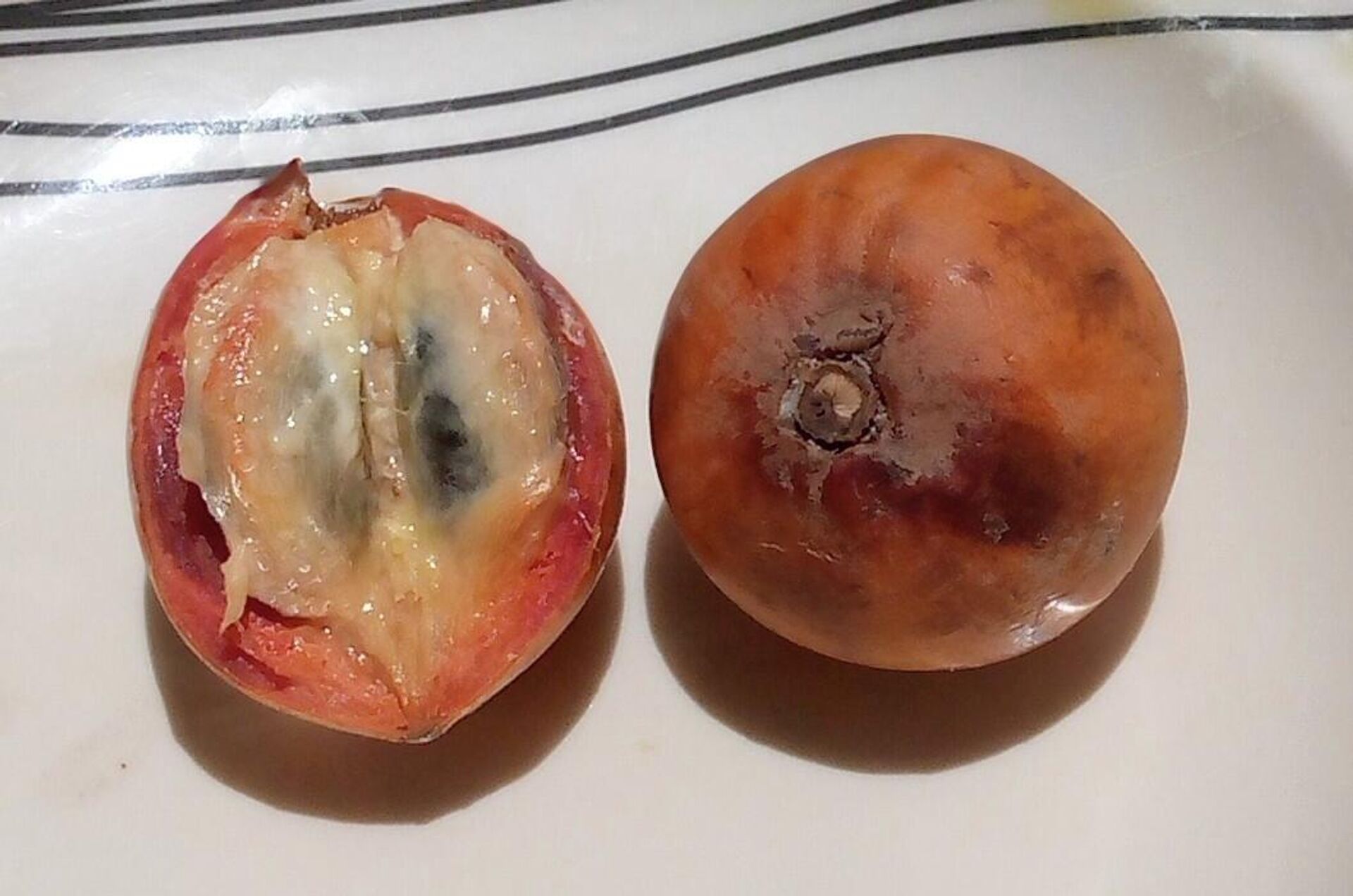 Плоды белой звездчатой яблони