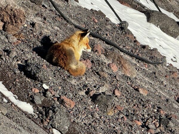 Горные пейзажи Приэльбрусья - Sputnik Беларусь