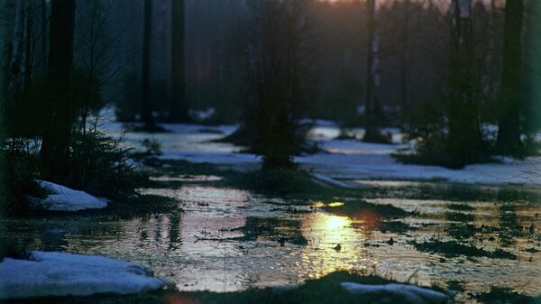 Весна - Sputnik Беларусь