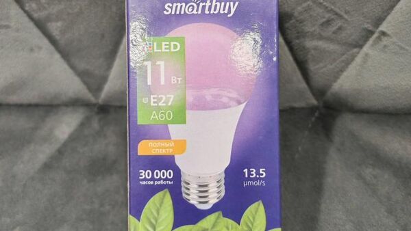 Опасная светодиодная лампа - Sputnik Беларусь