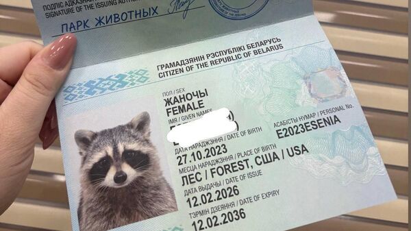 Новый паспорт енота-путешественника - Sputnik Беларусь