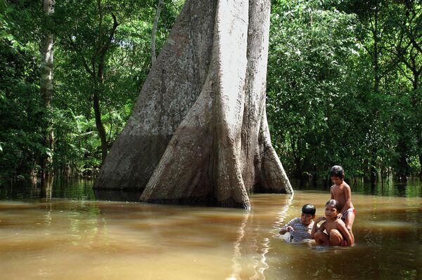 Тропические леса Амазонки - Sputnik Беларусь