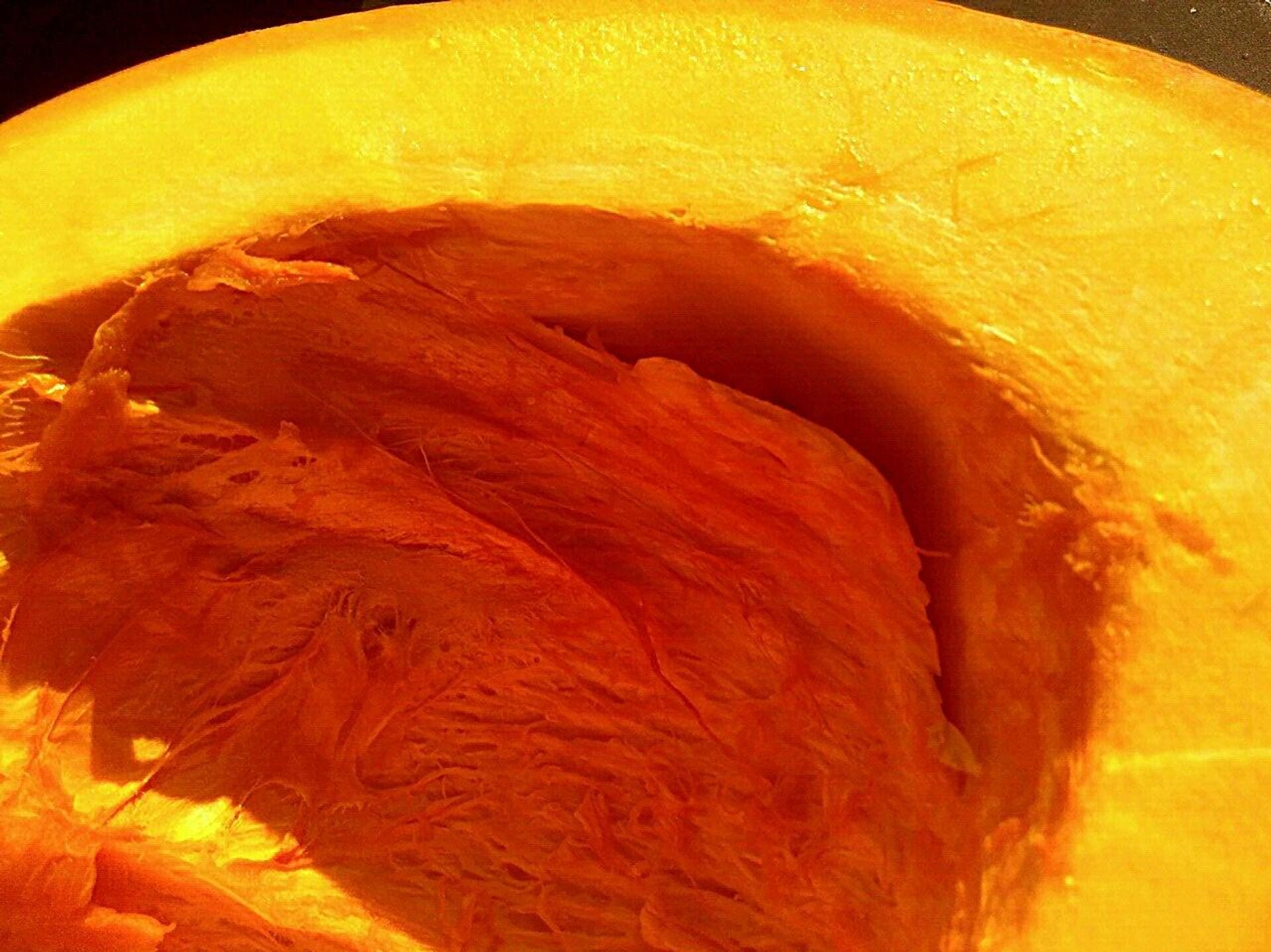 Гарбуз для цукатаў - Sputnik Беларусь, 1920, 18.03.2026