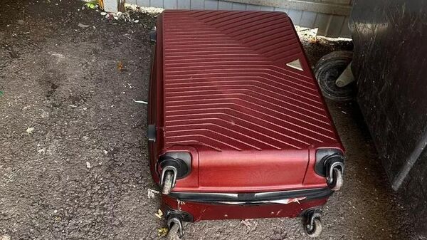 Чемодан со страшным содержимым - Sputnik Беларусь