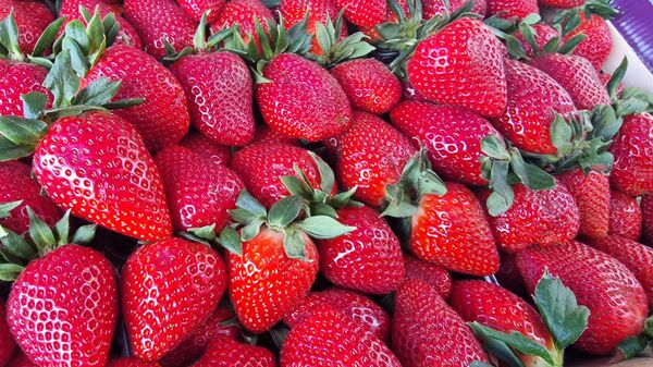 Клубника на Комаровском рынке - Sputnik Беларусь