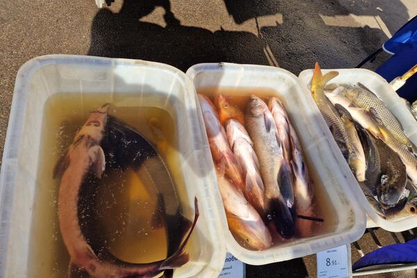 Рыба на Комаровском рынке - Sputnik Беларусь