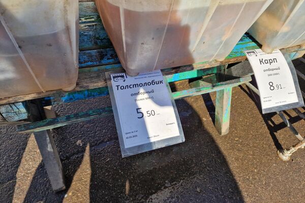 Рыба на Комаровском рынке - Sputnik Беларусь