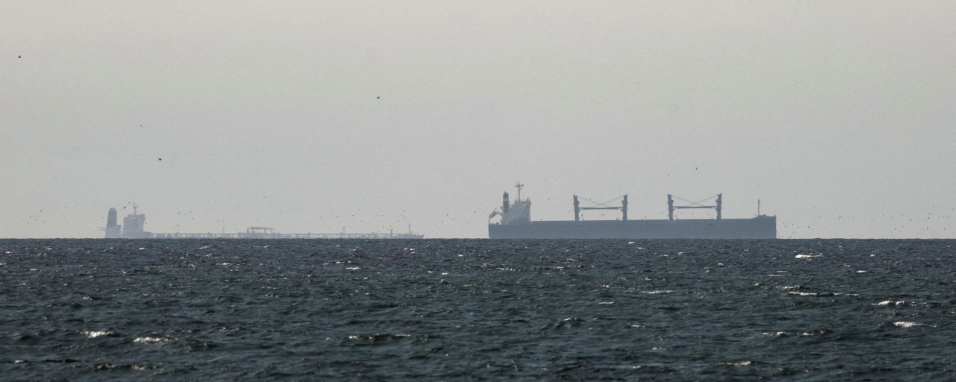 Грузавое судна ў Персідскім заліве, недалёка ад Армузскага праліва - Sputnik Беларусь, 1920, 30.03.2026