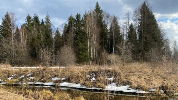 Без осадков и до +16°С ожидается в Беларуси во вторник