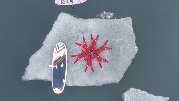 Во Владивостоке сапбордисты угоняли льдины в Амурском заливе (видео) - Sputnik Беларусь