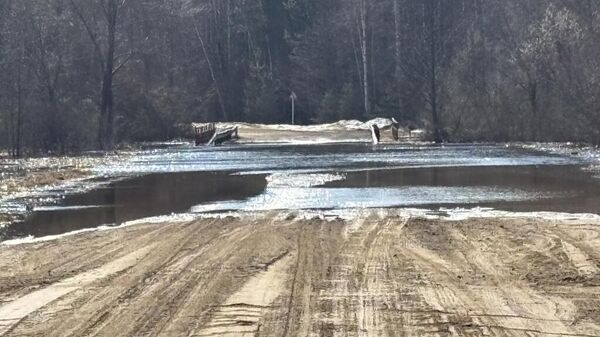 Подтопленный мост - Sputnik Беларусь