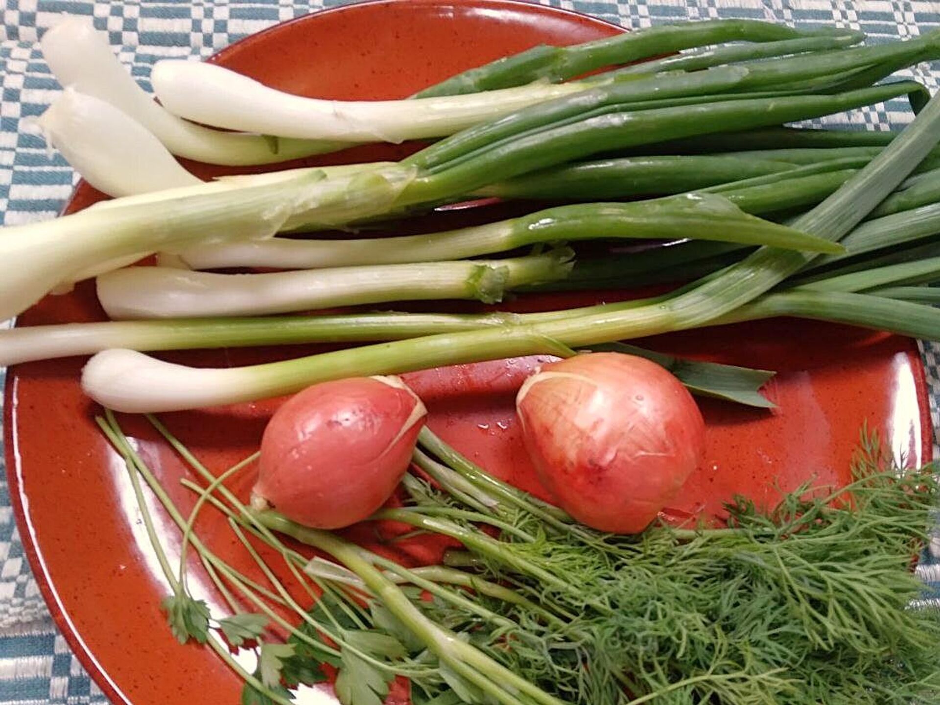 Зеляніна для стравы - Sputnik Беларусь, 1920, 26.03.2026