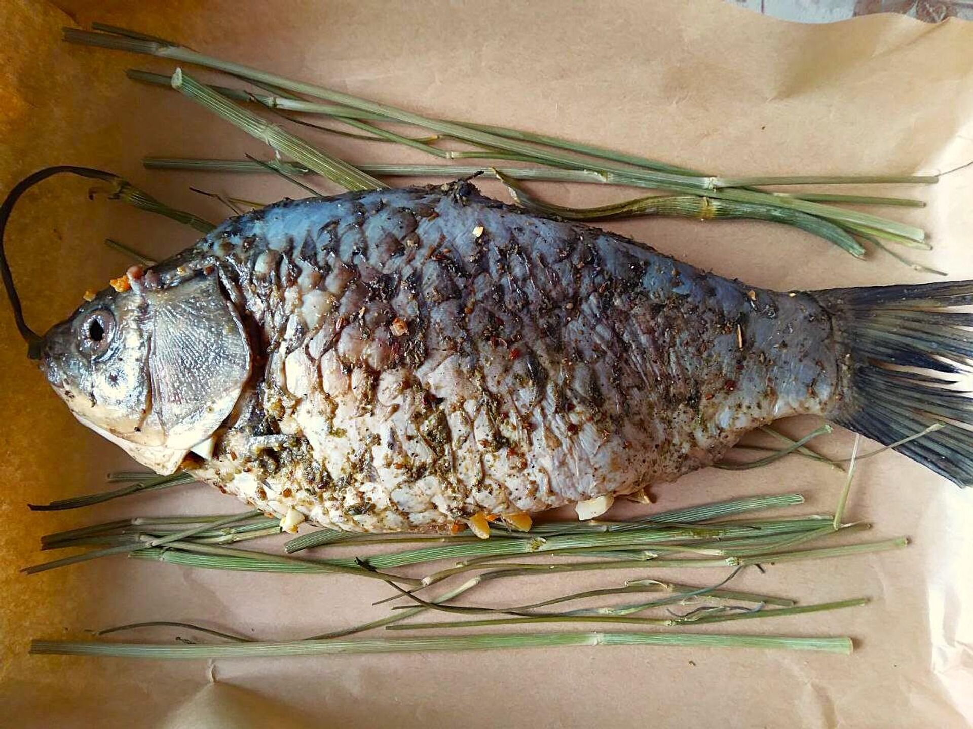 Карась - Sputnik Беларусь, 1920, 26.03.2026