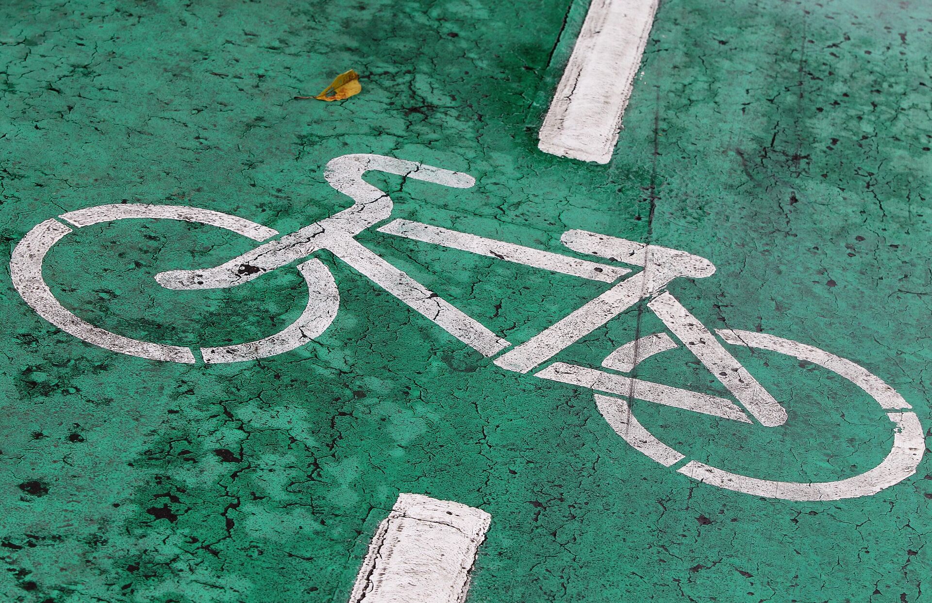 Велодорожка  - Sputnik Беларусь, 1920, 26.03.2026