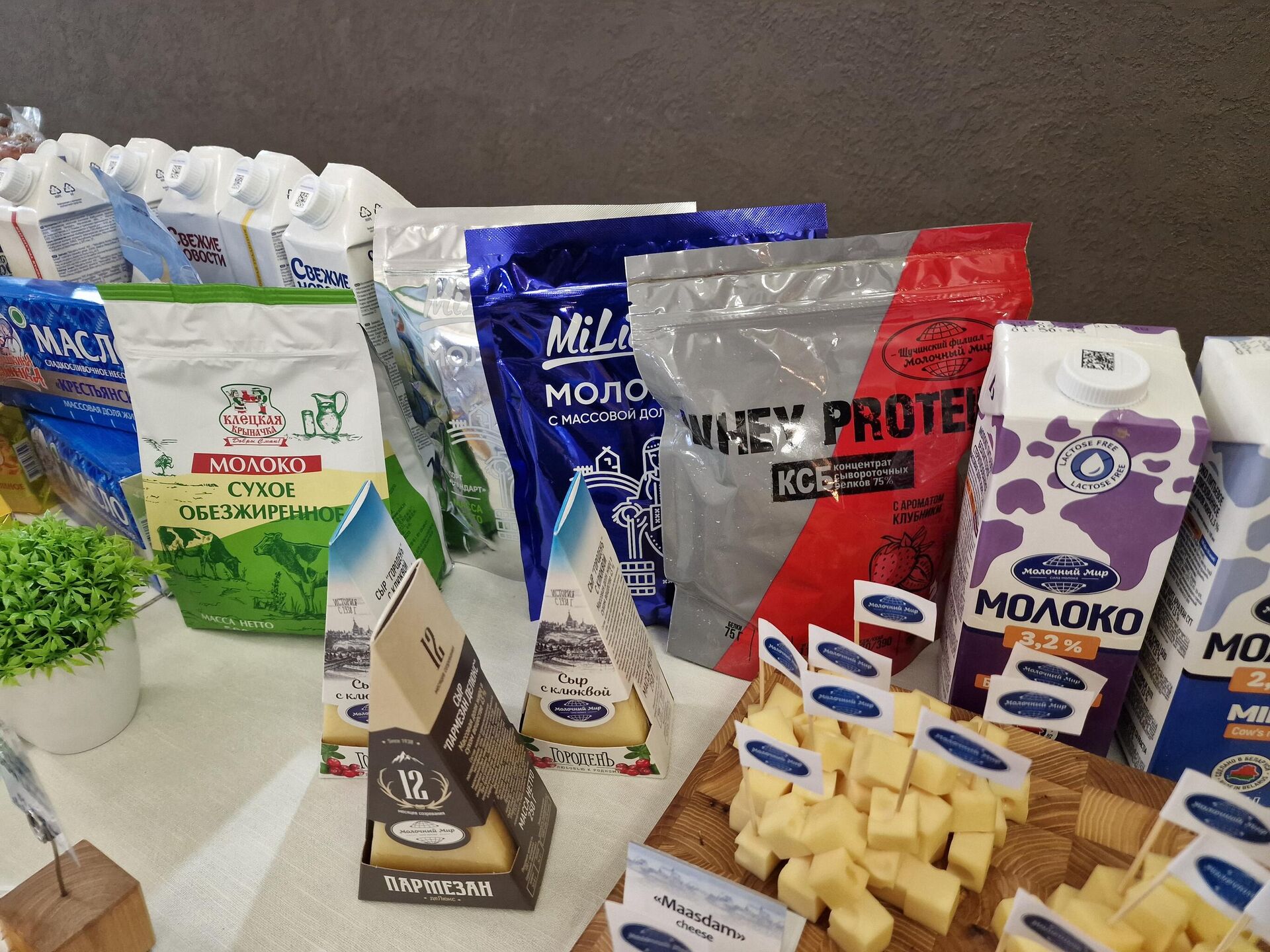 Белорусские производители представили образцы продуктов питания главам дипломатических миссий - Sputnik Беларусь, 1920, 26.03.2026