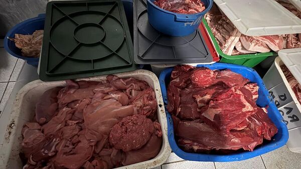 Грубейшие нарушения: КГК приостановил работу предприятия мясопереработки