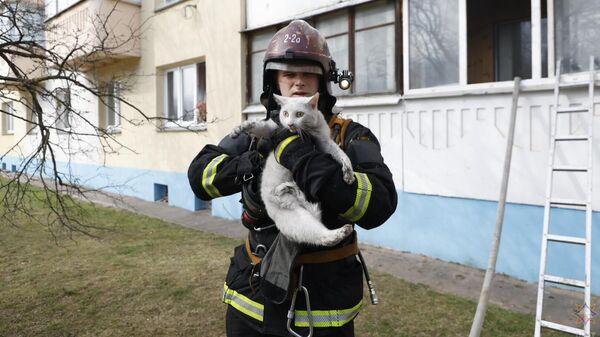 Спасенный на пожаре кот - Sputnik Беларусь