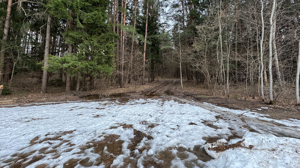 Первые в этом году: введены запреты на посещение лесов